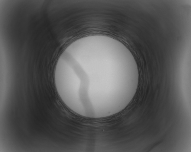 X0000084540423200703231718