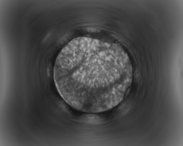 X0000084540424200703231718