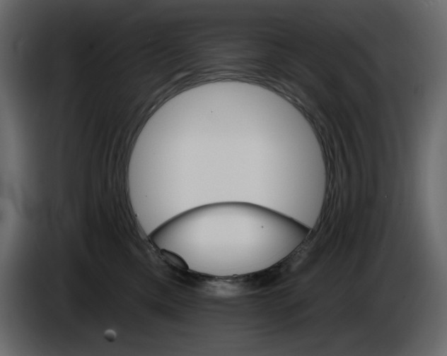 X0000084540425200703231718