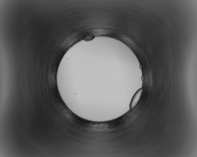 X0000084540426200703231718