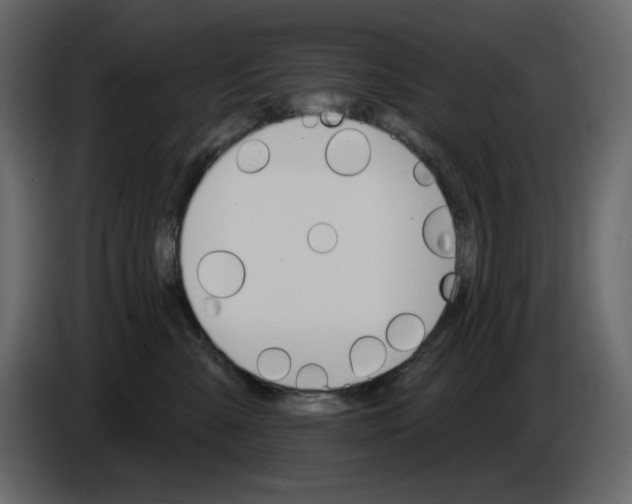 X0000084540427200703231718