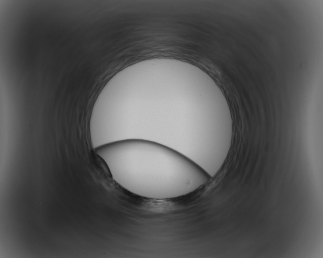 X0000084540429200703231718