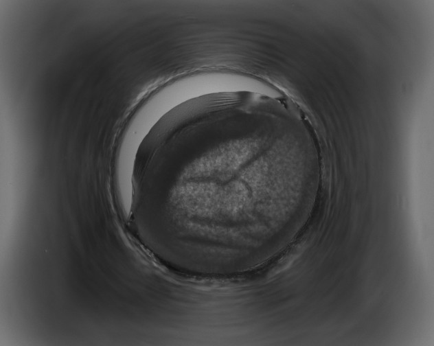 X0000084540434200703231717