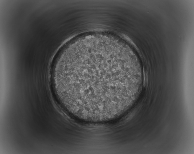 X0000084540435200703231717