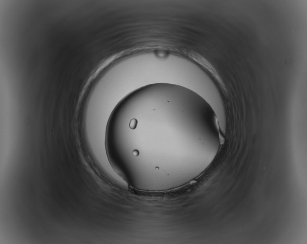 X0000084540436200703231717