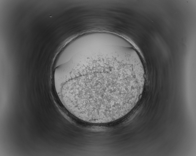 X0000084540437200703231717