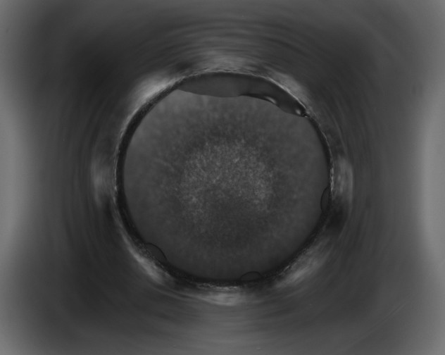 X0000084540438200703231717