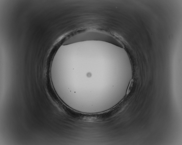 X0000084540440200703231717