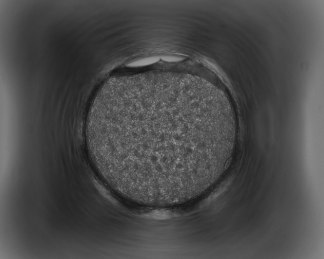 X0000084540441200703231718