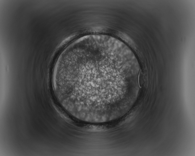 X0000084540442200703231718