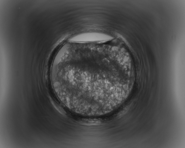 X0000084540443200703231718