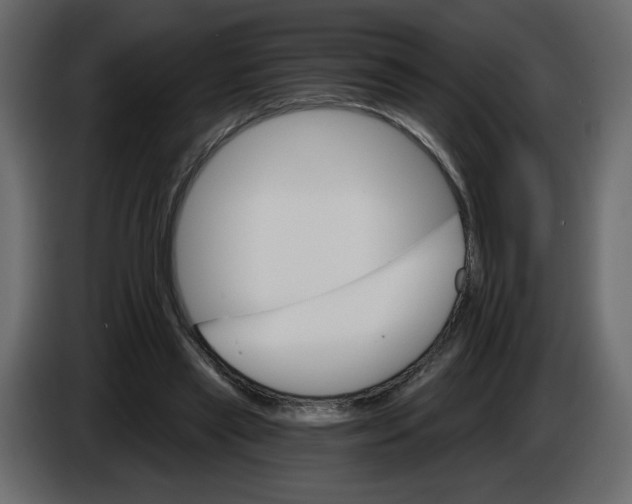 X0000084540445200703231718