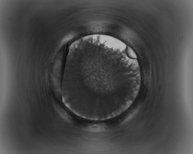 X0000084540447200703231718