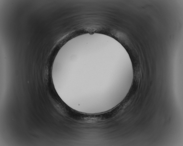 X0000084540448200703231718