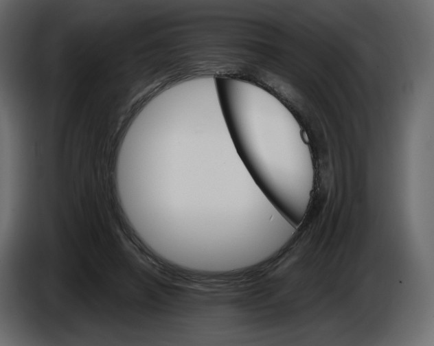 X0000084540450200703231718