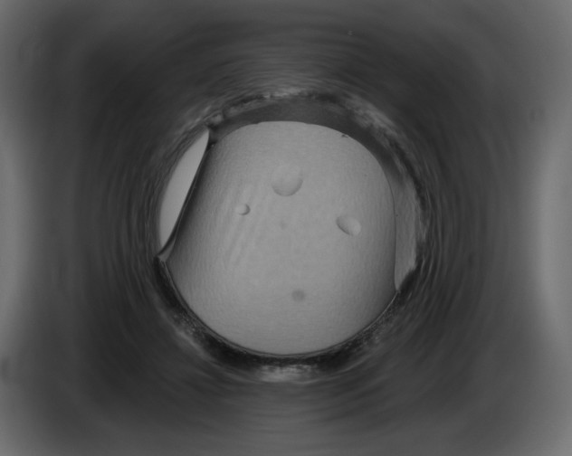 X0000084540452200703231718