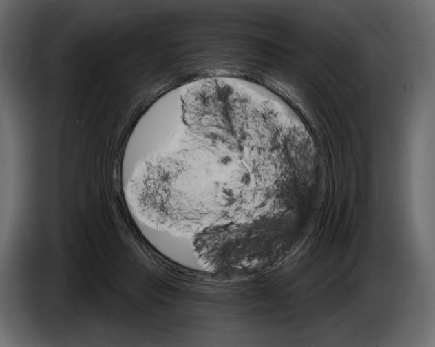 X0000084540453200703231718