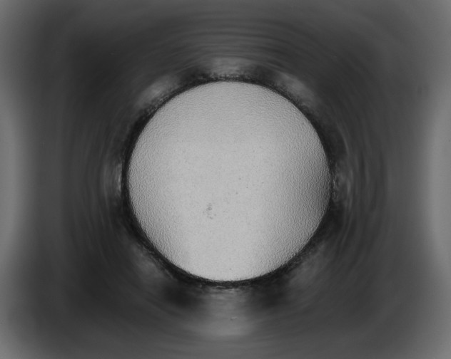 X0000084540454200703231718