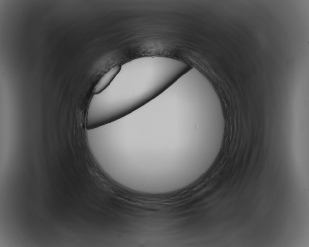 X0000084540458200703231718