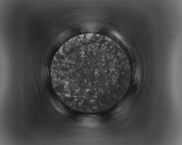 X0000084540459200703231718