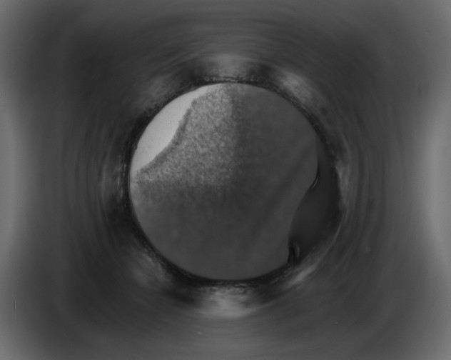 X0000084540462200703231718