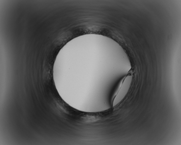 X0000084540464200703231718