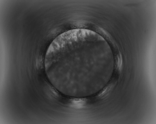 X0000084540465200703231718