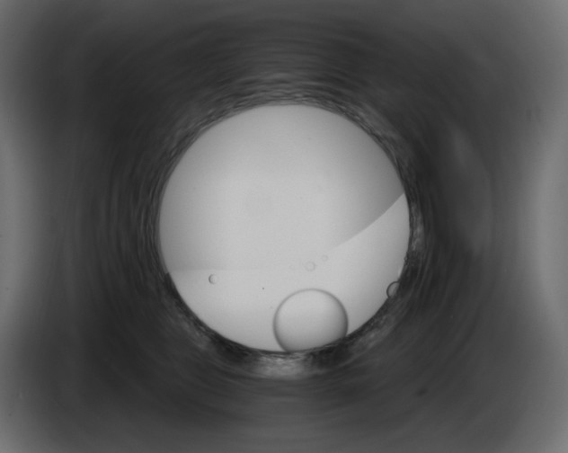 X0000084540469200703231718