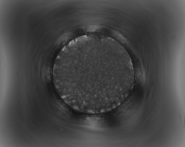 X0000084540470200703231718