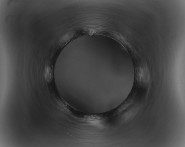 X0000084540471200703231718