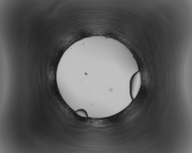 X0000084540472200703231718