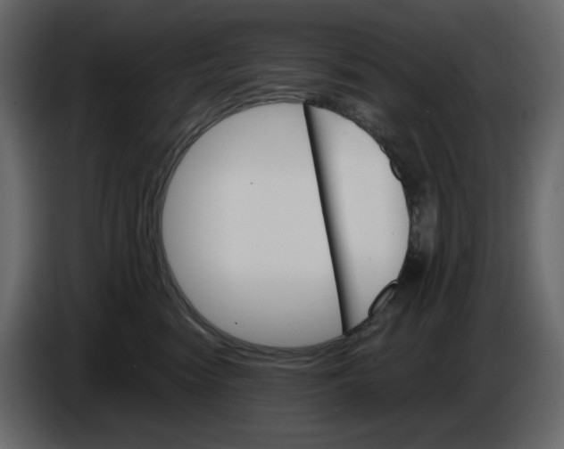 X0000084540474200703231718