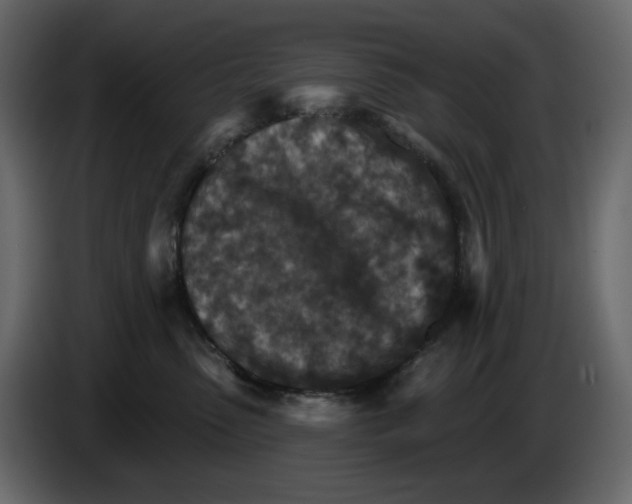 X0000084540475200703231718