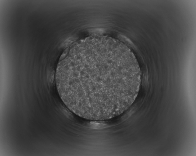 X0000084540477200703231718