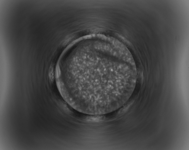 X0000084540479200703231718