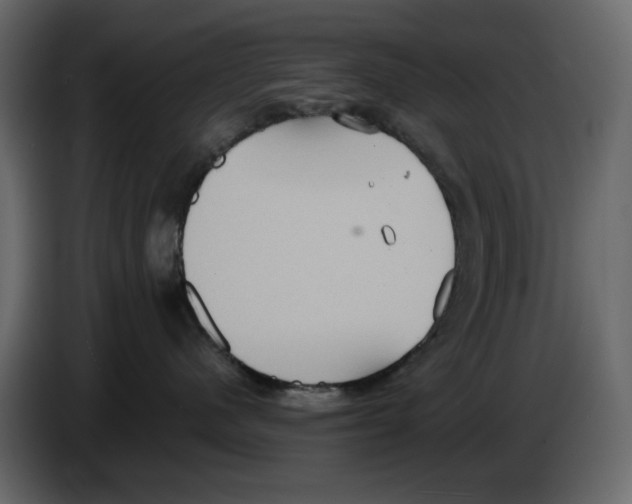 X0000084540480200703231718