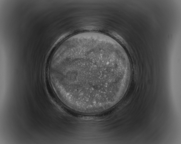 X0000084540482200703231717