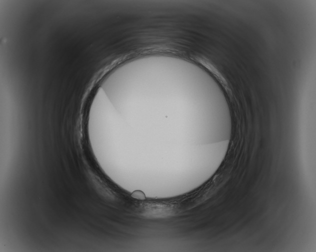 X0000084540486200703231717