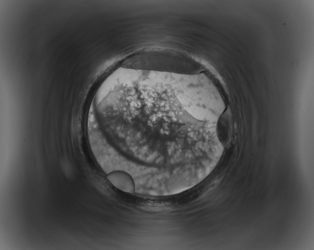 X0000084540487200703231717