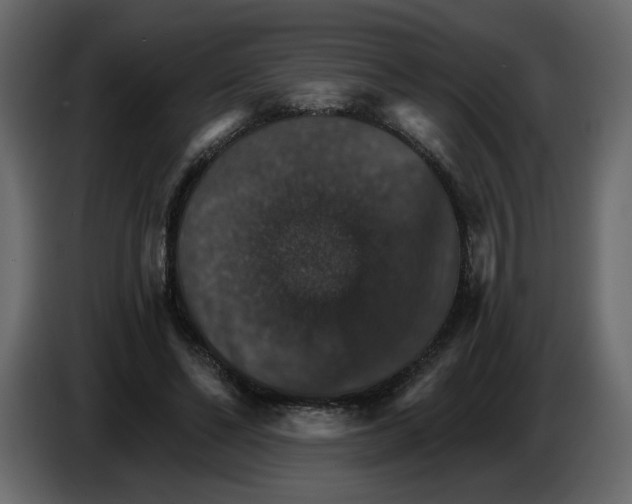 X0000084540494200703231717