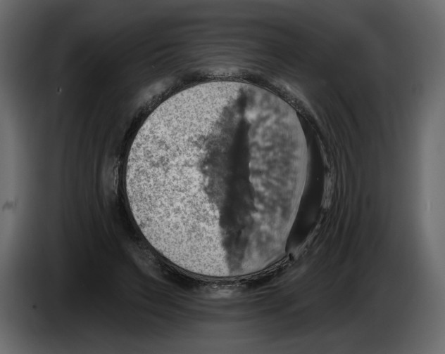 X0000084540495200703231717