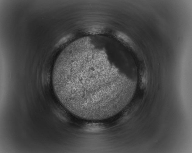 X0000084540499200703231717