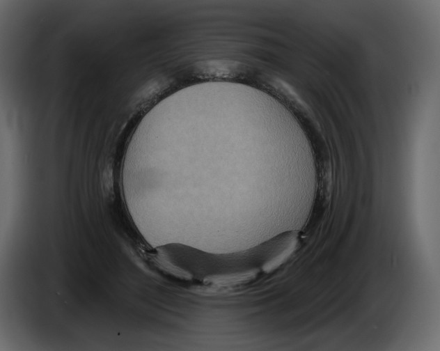 X0000084540500200703231717