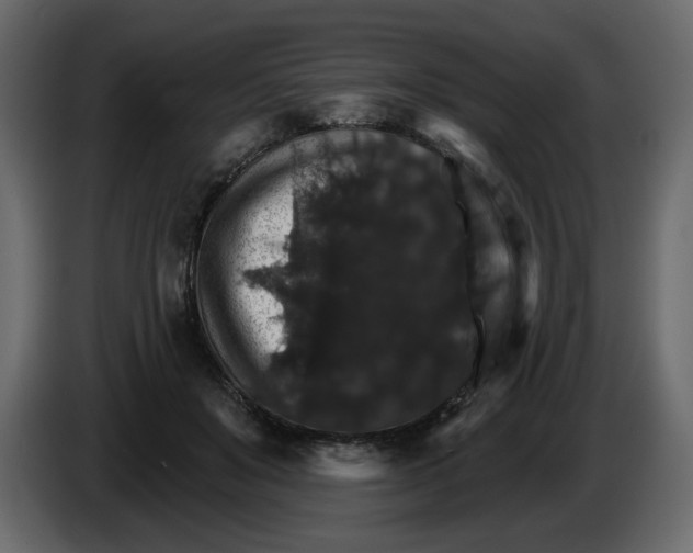 X0000084540503200703231717