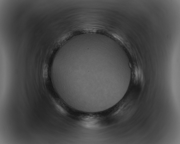 X0000084540504200703231717