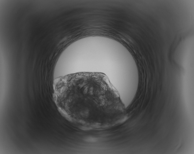 X0000084540507200703231717