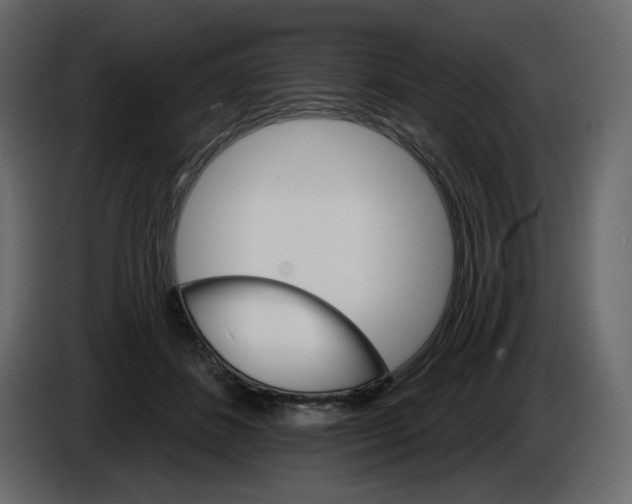 X0000084540508200703231717