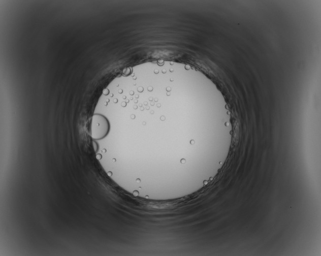 X0000084540510200703231717