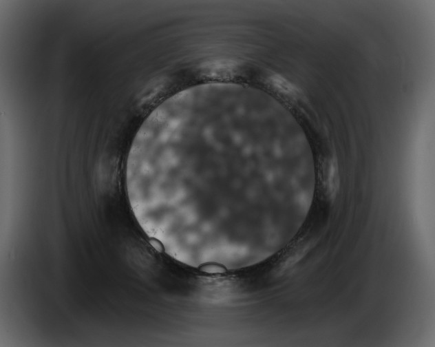 X0000084540511200703231717