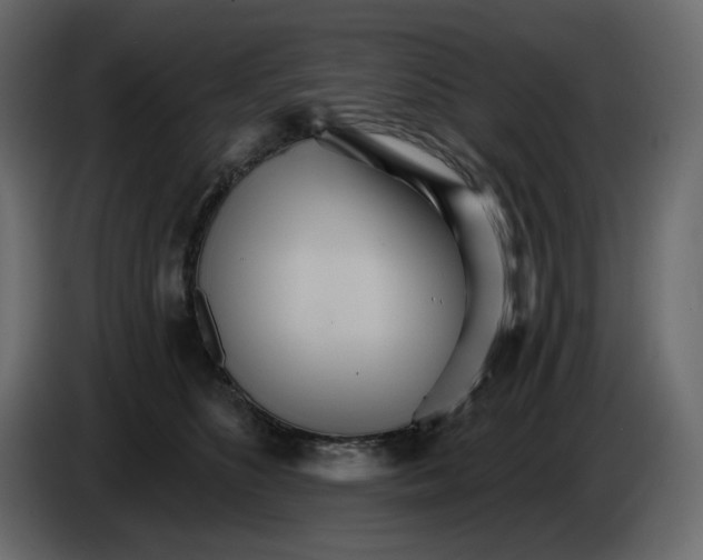 X0000084540516200703231717